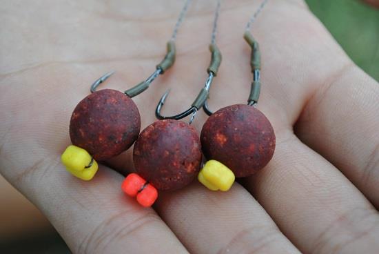 6 ponturi pentru pescuitul la crap